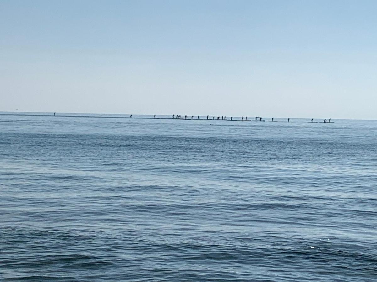 Apartamentoen La Playa, 200 Mts De La Playa Nuevo Санта Пола Экстерьер фото