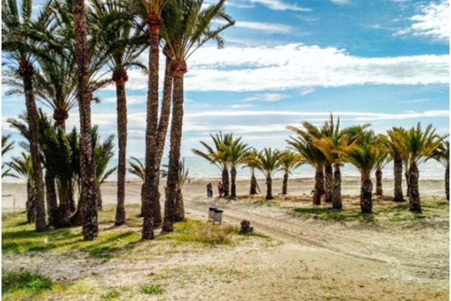 Apartamentoen La Playa, 200 Mts De La Playa Nuevo Санта Пола Экстерьер фото